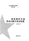 转型期的中国劳动问题与劳动政策 岳经纶著 东方出版中心 2011_12762503 大图